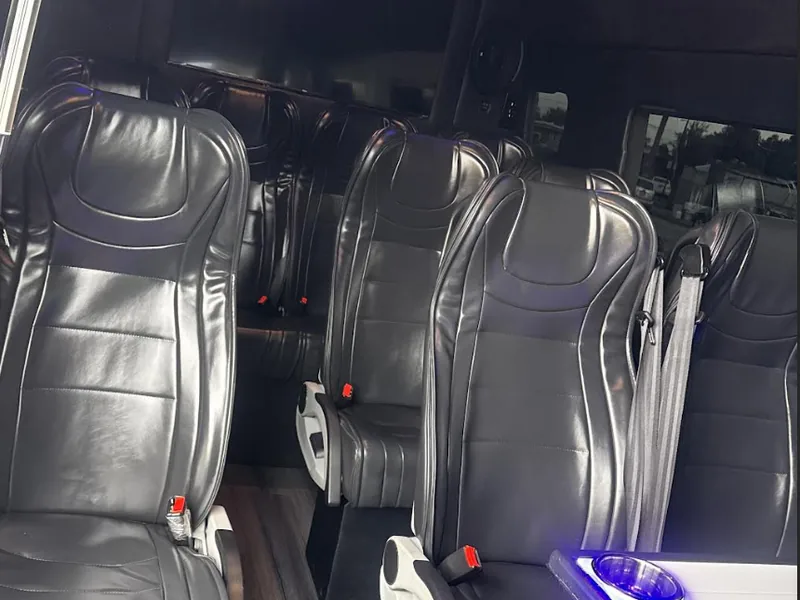 Executive Sprinter interior 1